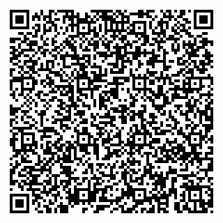 vCard 79255962385