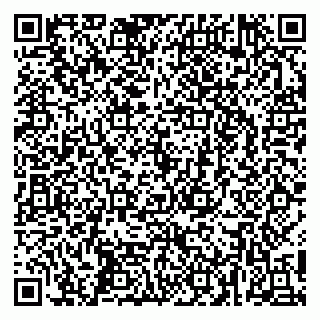vCard 79256774033