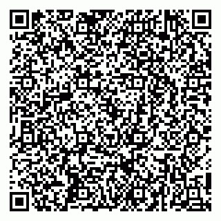 vCard 79256778173