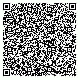 vCard 79256778203