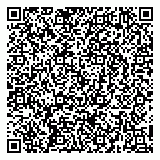 vCard 79256778297