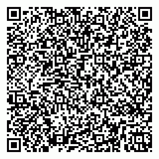 vCard 79257041039