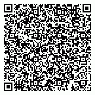 vCard 79258955739