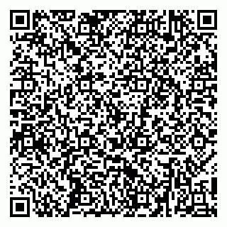 vCard 79258958833