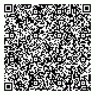 vCard 79258958963