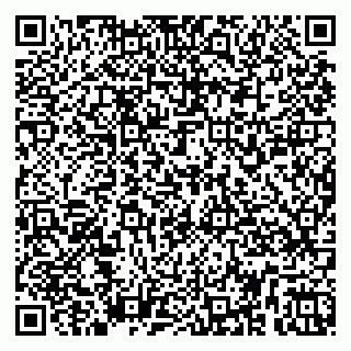 vCard 79258959171