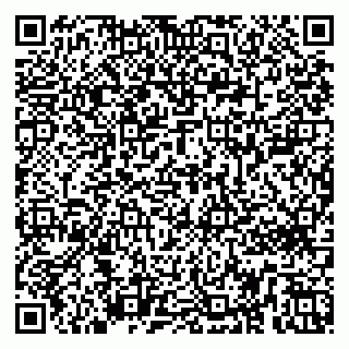 vCard 79259602147