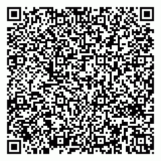 vCard 79259670177