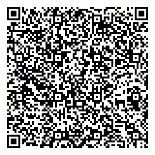 vCard 79259670331