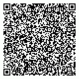 vCard 79259702339