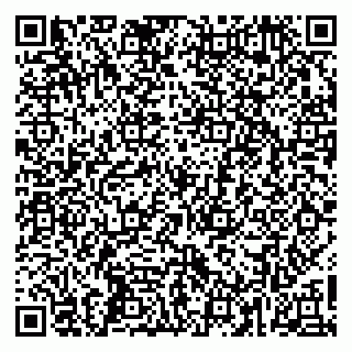 vCard 79260502039