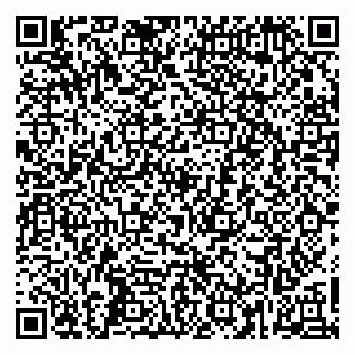vCard 79260502239