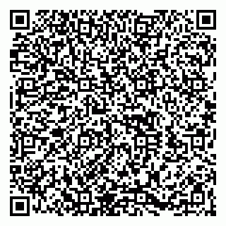 vCard 79260502517
