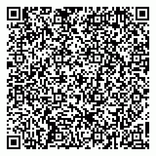 vCard 79260502629