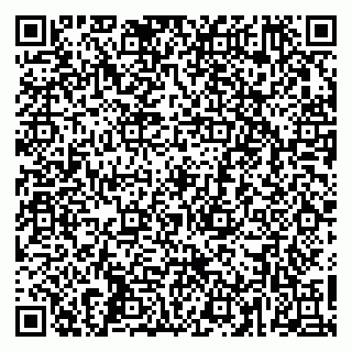vCard 79260502732