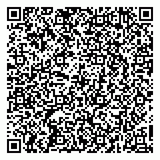 vCard 79260562211