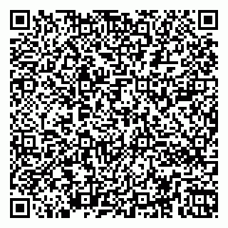vCard 79260802145