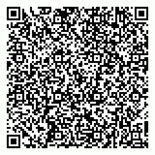 vCard 79260802173
