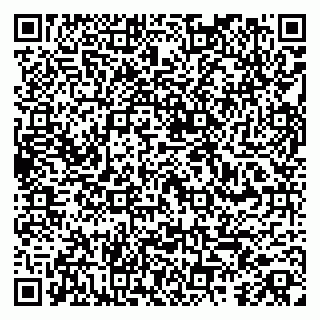 vCard 79260802199
