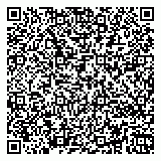 vCard 79260802385