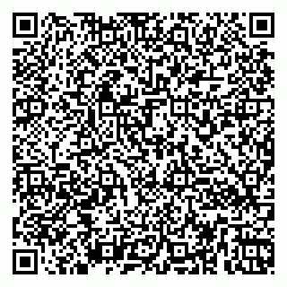 vCard 79260972133