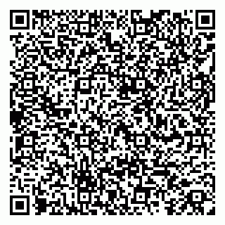 vCard 79260972199