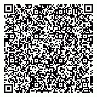 vCard 79260972205