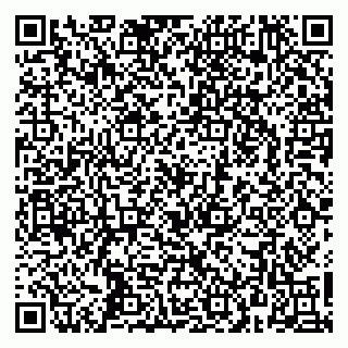 vCard 79260972287