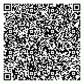 vCard 79260972295