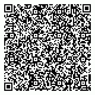 vCard 79260972363