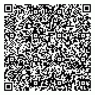 vCard 79260972381