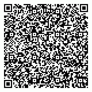 vCard 79260972382