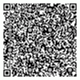 vCard 79260972384