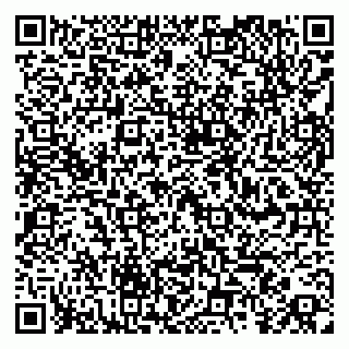 vCard 79260972387
