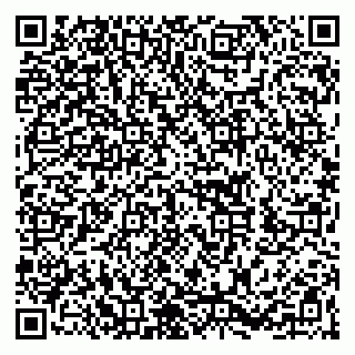 vCard 79262242039