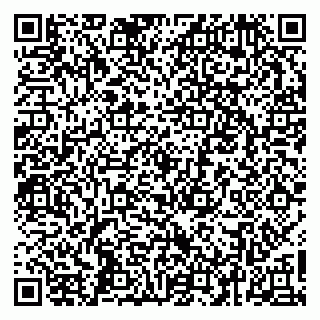 vCard 79262805029