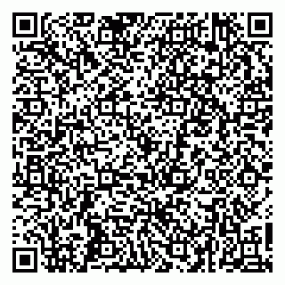 vCard 79262805173