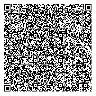 vCard 79263027776