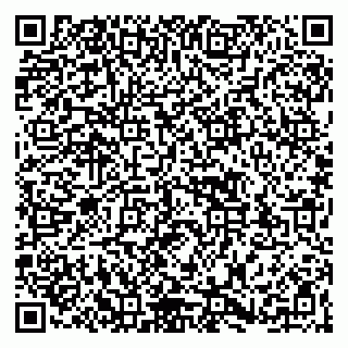 vCard 79263516285