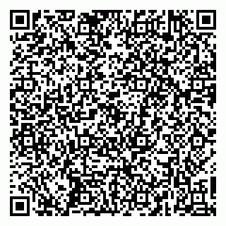 vCard 79266593013