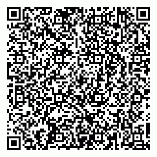 vCard 79266639333