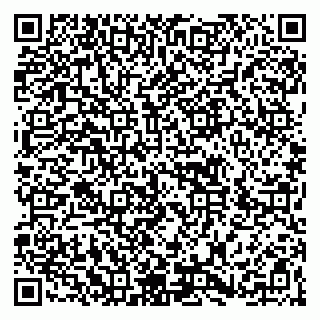 vCard 79266639381