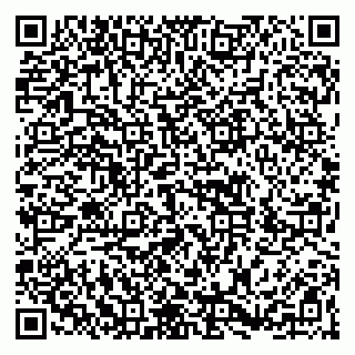 vCard 79266639413