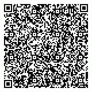 vCard 79266639519