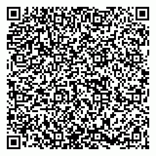 vCard 79266639533