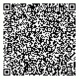 vCard 79267804863