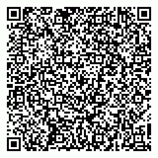 vCard 79267805013