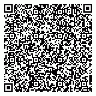 vCard 79267805111