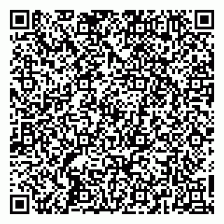 vCard 79268152704