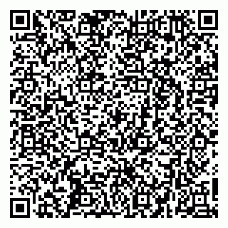 vCard 79268272210